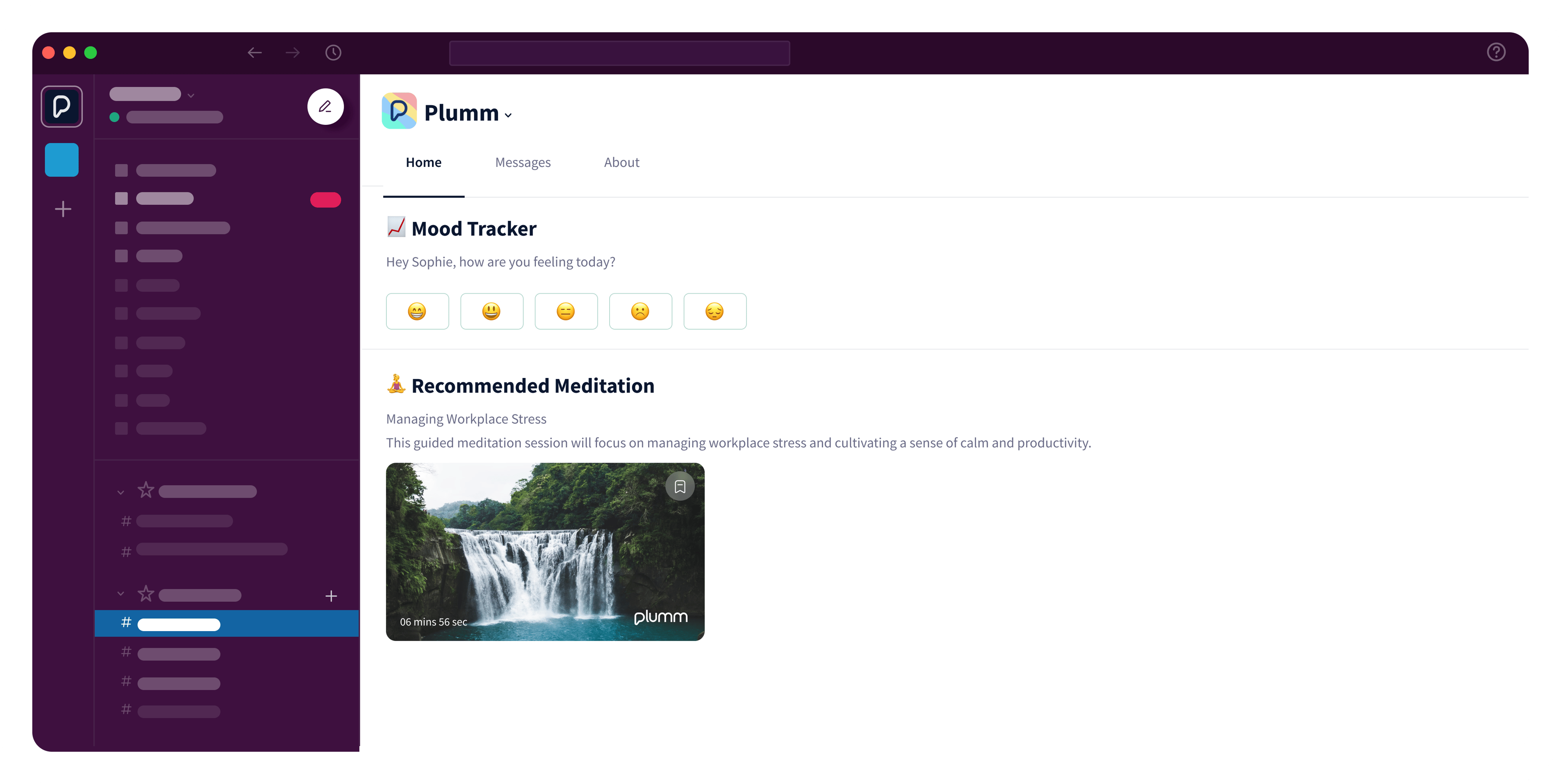 Plumm The Workplace Mental Health & HR Platform